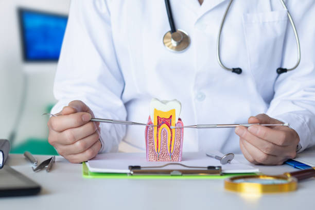Best Broken or Cracked Tooth Emergency Dentist in Gordon, GA